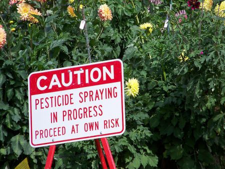 HRM's pesticide bylaw requires posting warning signs before spraying of controlled pesticides, a protection Pesticide Free Nova Scotia says is worth keeping.  Photo: jetsandzeppelins