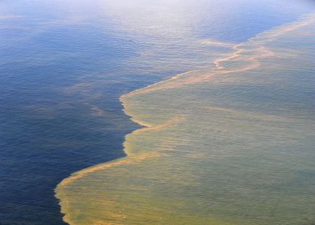Oil from the Deepwater Horizon on the move in the Gulf of Mexico. Environmentalists fear that a similar scenario could play out in Nova Scotia unless more rigorous controls are put in place. So far regulation has been far too lax, they believe.  Photo Louisiana GOSHEP, Flickr