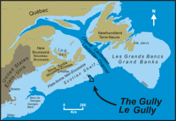 The Sable Gully has been a marine protected area for ten years.  This large and deep submarine valley or canyon sustains a wide variety of marine wildlife.  Map DFO