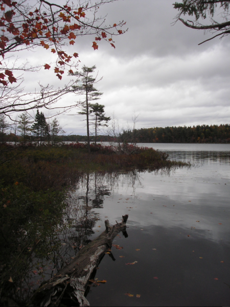 The proposed development borders Second Lake, a pristine water body in a protected Lower Sackville park (Robert Devet photo).