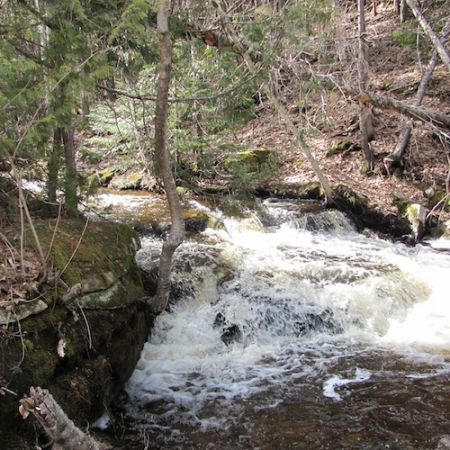 Water flowing through the UNB Woodlot in the spring of 2011. Photo: Tracy Glynn.