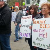 Nova Scotians call for a ban on genetically modified foods