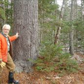 Tim Ruggles and some of the old growth trees that can be found on the lands earmarked for clearcutting. Photo contributed 