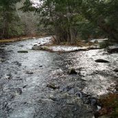 The Round Hill River was once a major salmon river.  Now it is showing signs of recovery. Residents fear that a clearcut will put an end to that.  Photo contributed.