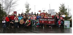 2013 New Year's Resolution: Salmon Feedlot Boycott