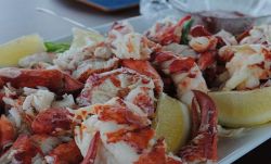 Delicious Atlantic Canadian lobster