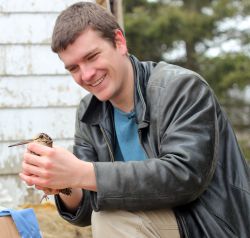 Author of the Endangered Perspective, Zack Metcalfe, is shown releasing a rehabilitated American woodcock back into the wild. These birds, along with the American robin, were the most impacted by unseasonal snow cover across the Maritimes, which prevented their access to food. [Hope Swinimer photo]