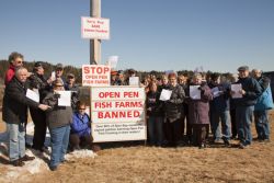 Eastern Shore Residents Declare a Ban on Open Pen Salmon Feedlots in their Coastal Communities