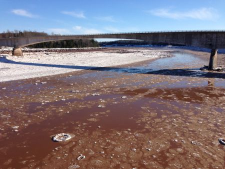 The Shubenacadie River is part of a delicate and unpredictable tidal river system.