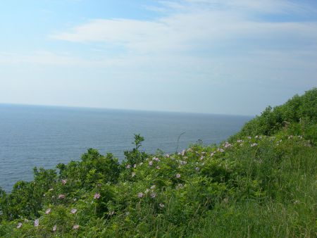 The Gulf of St. Lawrence as seen from the Ceilidh Trail in Cape Breton Highlands National Park, NS [Photo: Jimmy Emerson]