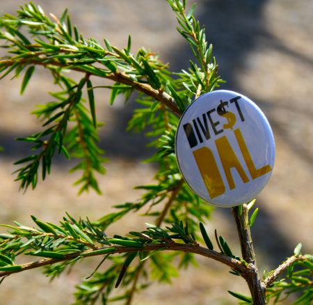 Divest Dalhousie decorate their tree with a "Divest Dal" pin to encourage divestment away from fossil fuels. [Photo: Kendra Lovegrove]