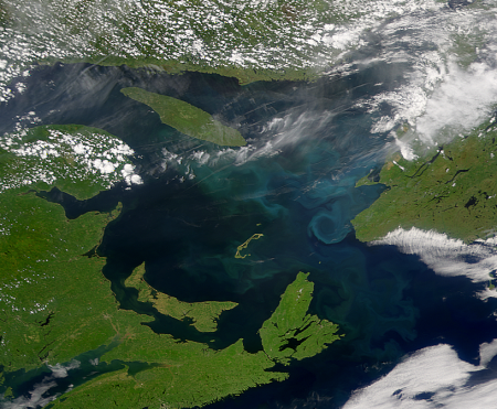 Climate change is changing our oceans, raising water temperature and creating more acidic conditions. In the Gulf of St Lawrence the deepest waters has been most affected, with large increases in acidification and reduced oxygen levels. If global greenhouse gas emissions are not reduced, the Gulf will experience large scale environmental change including species loss, out-migration and harsher ecosystem conditions.