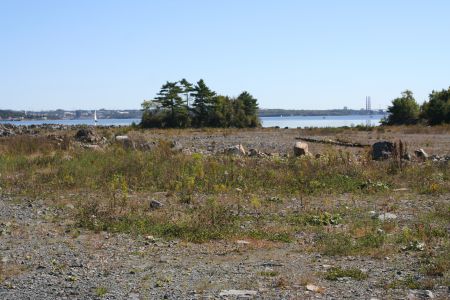 Crosby Island, the treed area shown in in the background, is now entirely land-bound as a result of the Waterfront Development Corporation infill activities.  Protesters want it restored to its old state.  Photo by Robert Devet