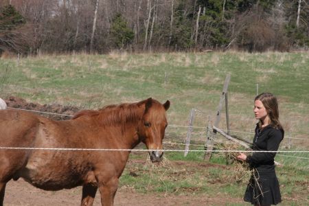Cammie Harbottle, youth president of the National Farmers Union, with horse. [Photo: M. Howe]