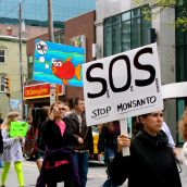 SOS: Save Our Seeds