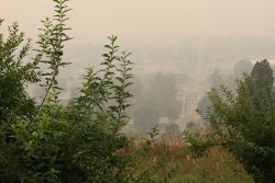 Smoke and Fire in Southren B.C